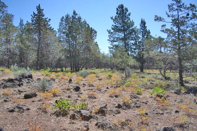 0-Lot 4 Wildhorse Dr, Bonanza, OR 97623