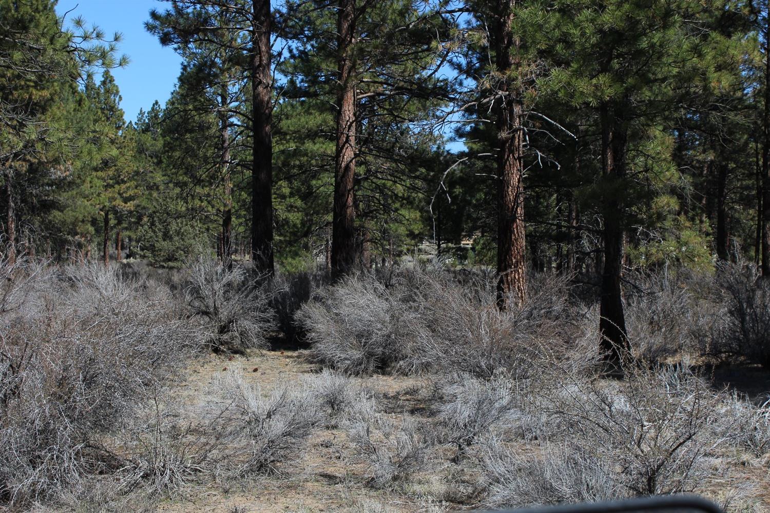 0 Swan Lot 24 Drive, Bonanza, OR 97623