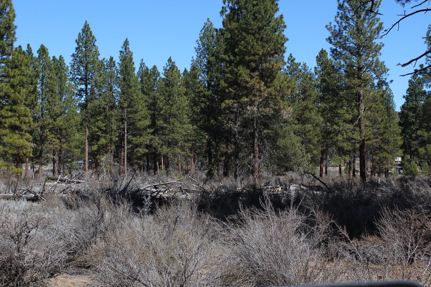 0 Swan Lot 24 Drive, Bonanza, OR 97623
