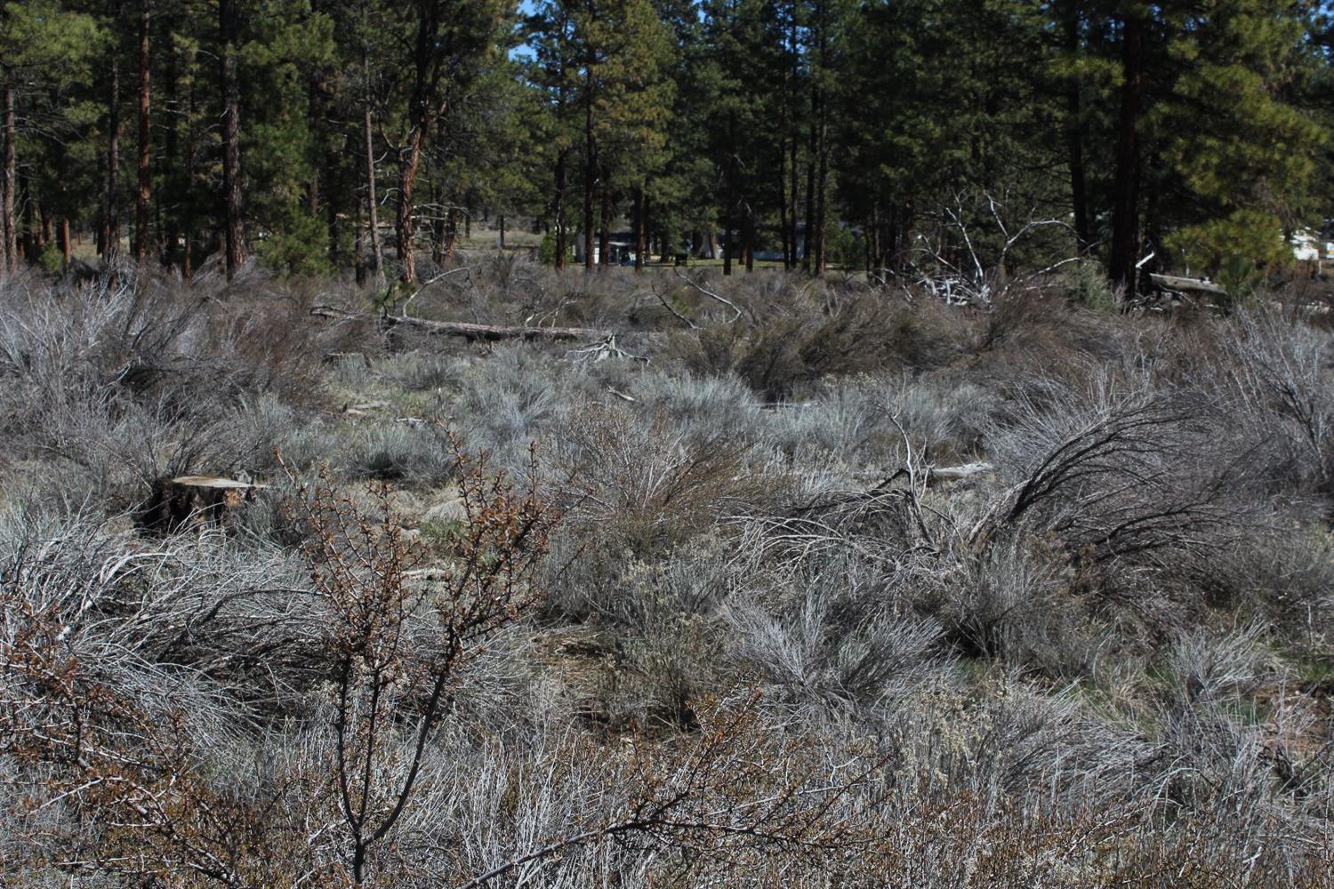 0 Swan Lot 24 Drive, Bonanza, OR 97623