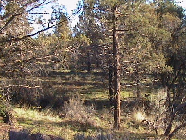 0 Red Squirrel Lane, Lots 6 &amp; 7, Bonanza, OR 97623
