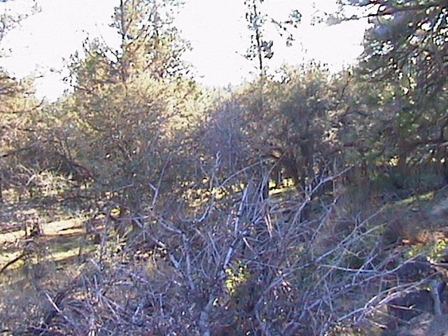 0 Red Squirrel Lane, Lots 6 & 7, Bonanza, OR 97623