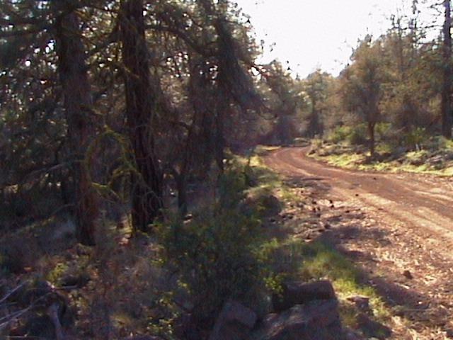 0 Red Squirrel Lane, Lots 6 & 7, Bonanza, OR 97623