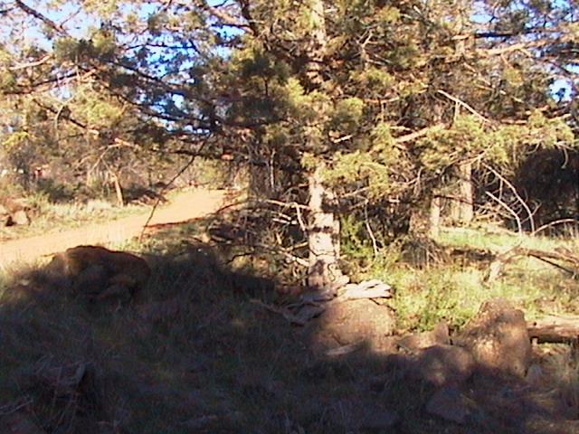 0 Red Squirrel Lane, Lots 6 & 7, Bonanza, OR 97623