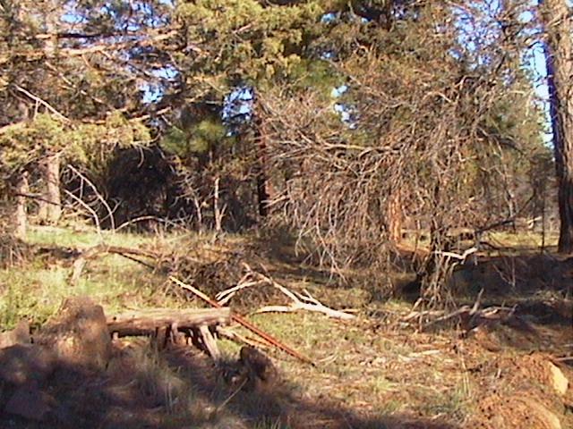 0 Red Squirrel Lane, Lots 6 & 7, Bonanza, OR 97623