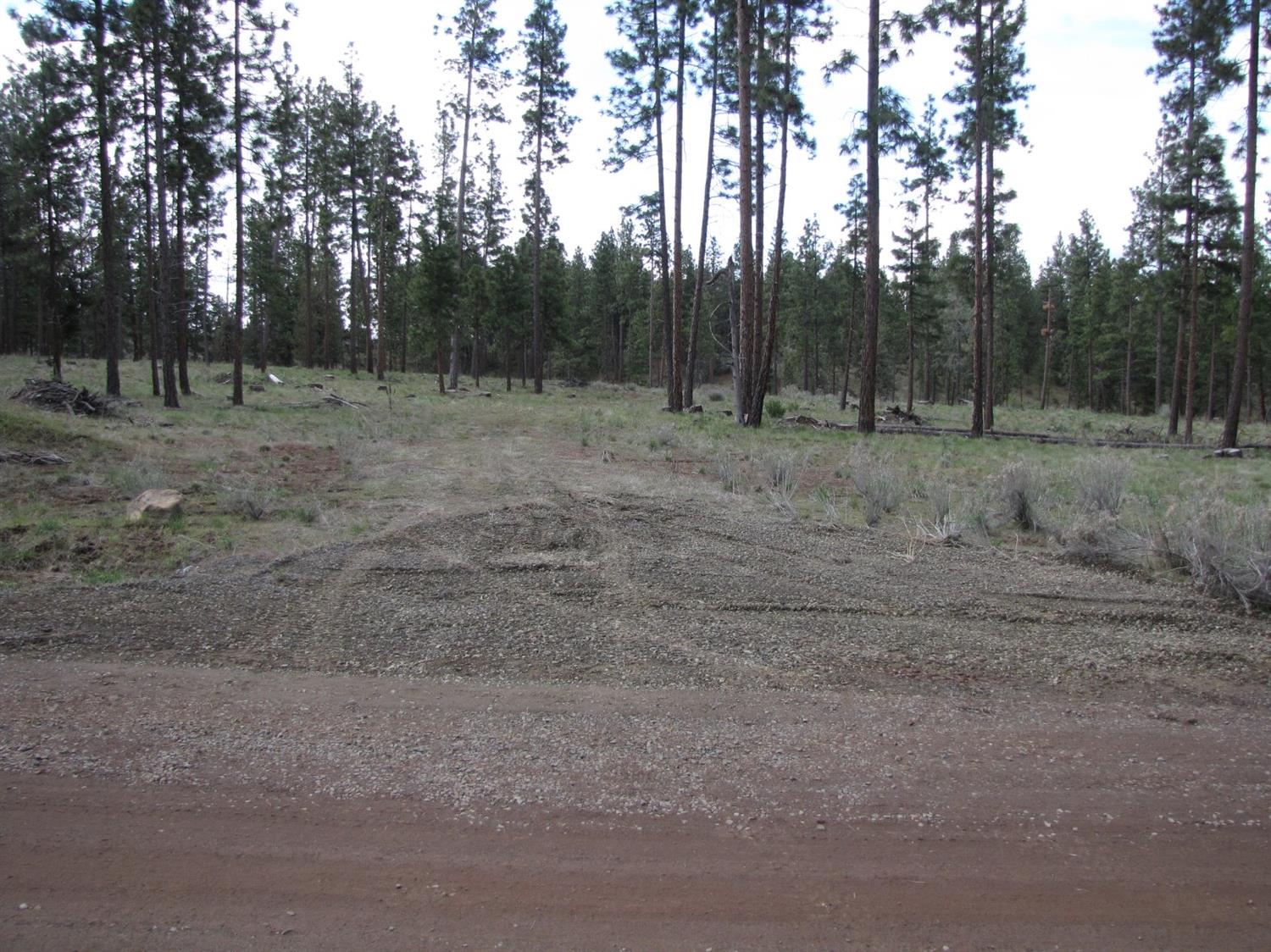 0 Lot 10 Petersteiner Drive, Bonanza, OR 97623