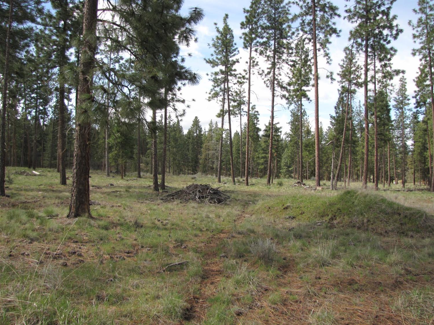 0 Lot 10 Petersteiner Drive, Bonanza, OR 97623