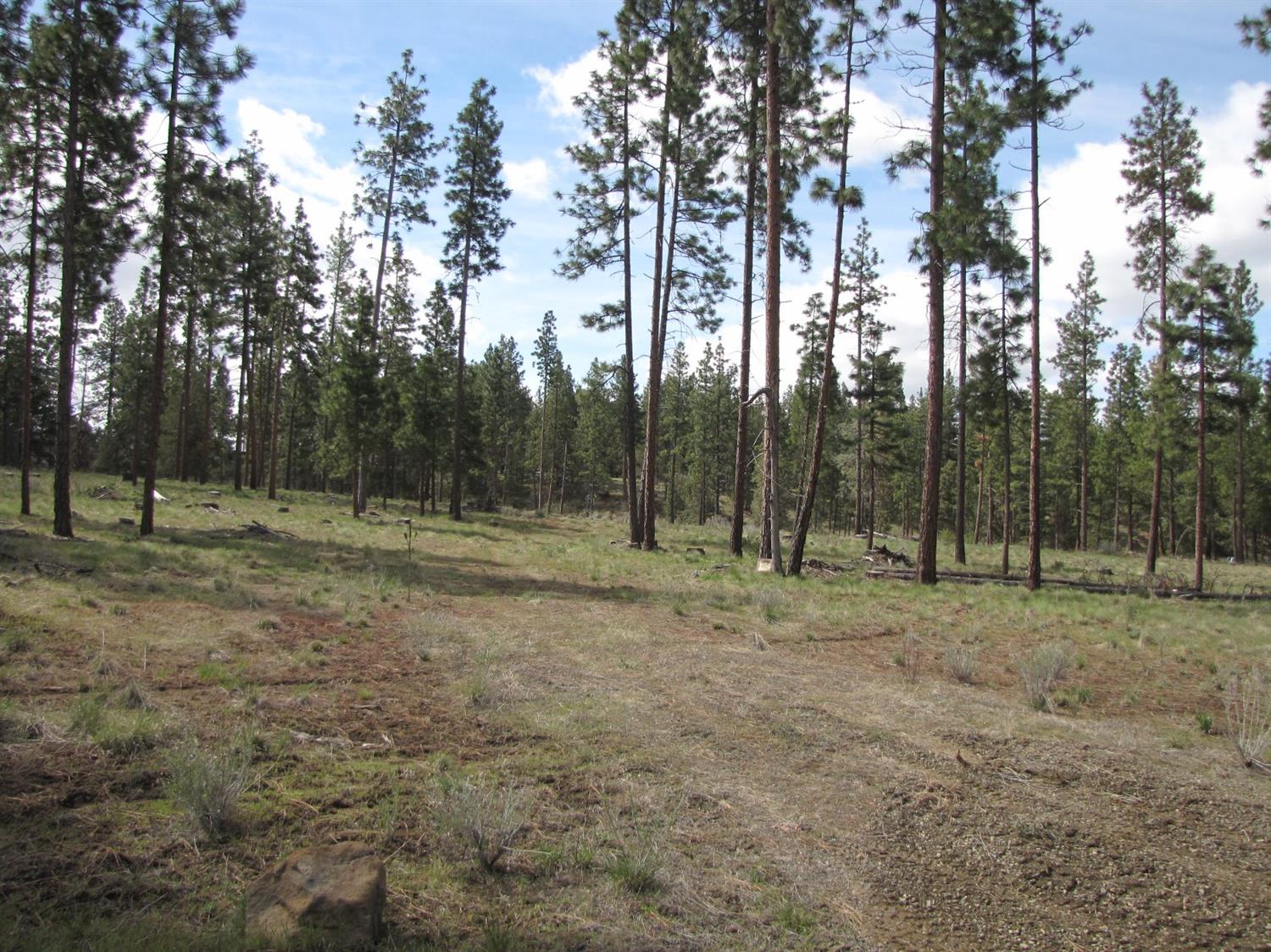 0 Lot 10 Petersteiner Drive, Bonanza, OR 97623
