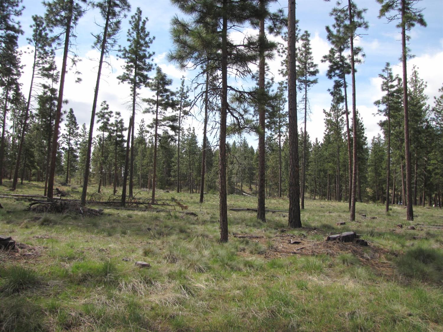 0 Lot 10 Petersteiner Drive, Bonanza, OR 97623