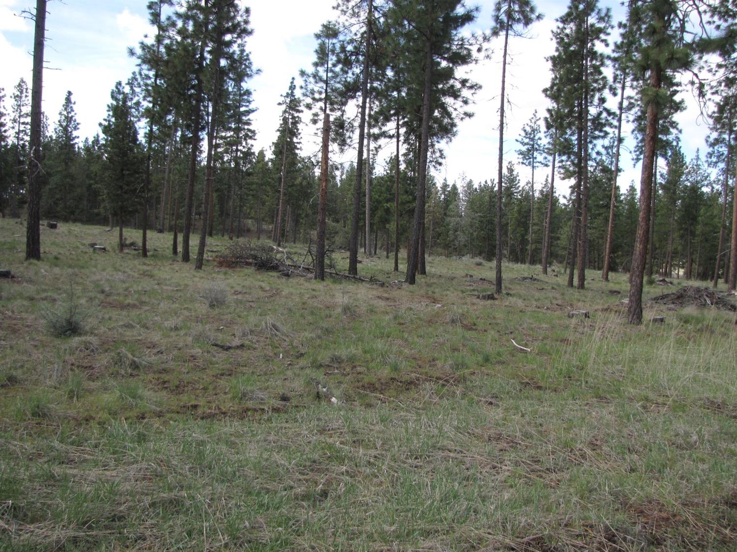 0 Lot 10 Petersteiner Drive, Bonanza, OR 97623