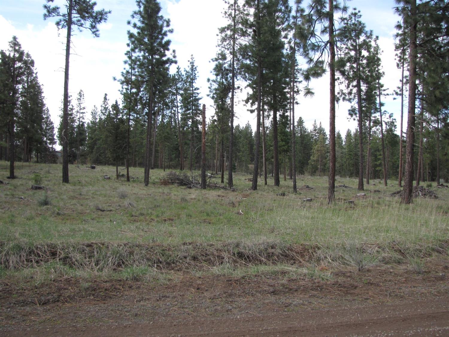 0 Lot 10 Petersteiner Drive, Bonanza, OR 97623