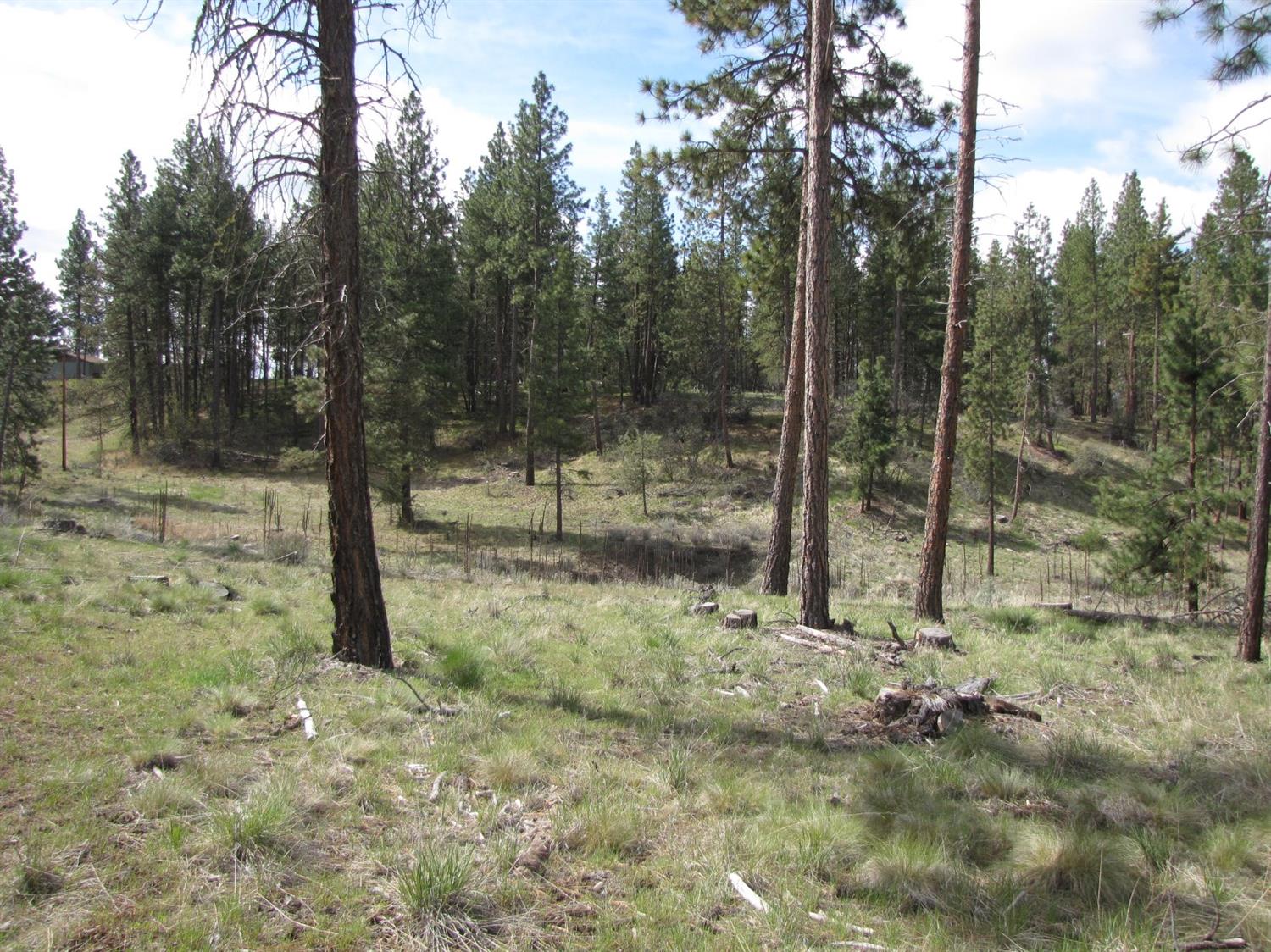 0 Lot 10 Petersteiner Drive, Bonanza, OR 97623