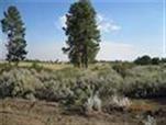 0 Shoreview Lot 15, Chiloquin, OR 97624