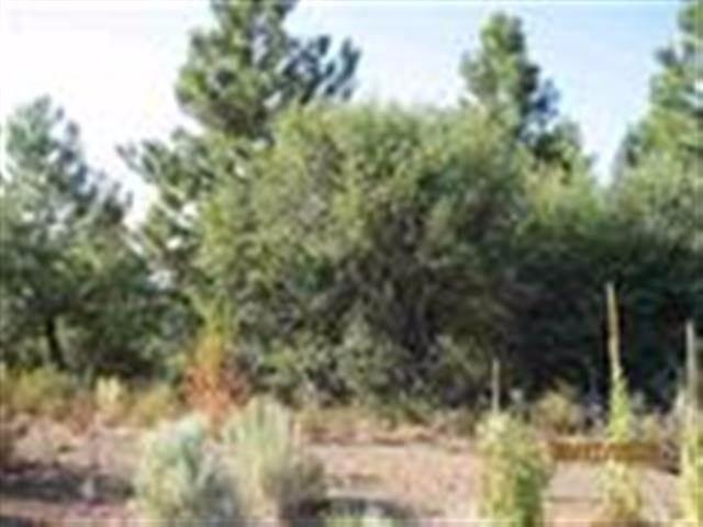 0 Treeland Lot 10, Chiloquin, OR 97624