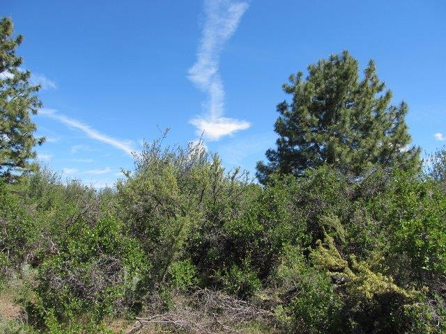 0 Parkland Avenue, Chiloquin, OR 97624