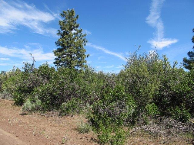 0 Parkland Avenue, Chiloquin, OR 97624