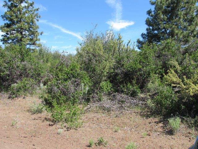 0 Parkland Avenue, Chiloquin, OR 97624