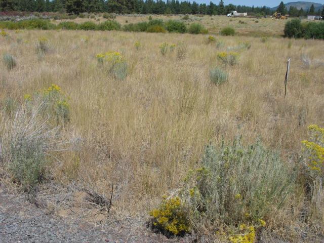 0-BK35L11 Sundance Drive, Chiloquin, OR 97624