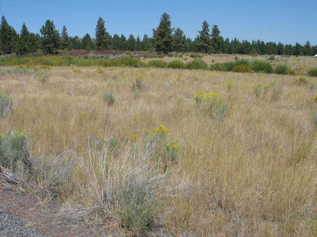 0-BK35L11 Sundance Drive, Chiloquin, OR 97624