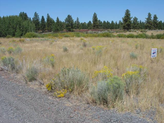 0-BK35L11 Sundance Drive, Chiloquin, OR 97624