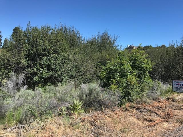 0 Oregon Shores Dr, Chiloquin, OR 97624