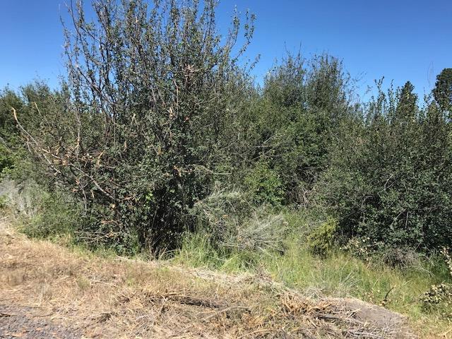 0 Oregon Shores Dr, Chiloquin, OR 97624