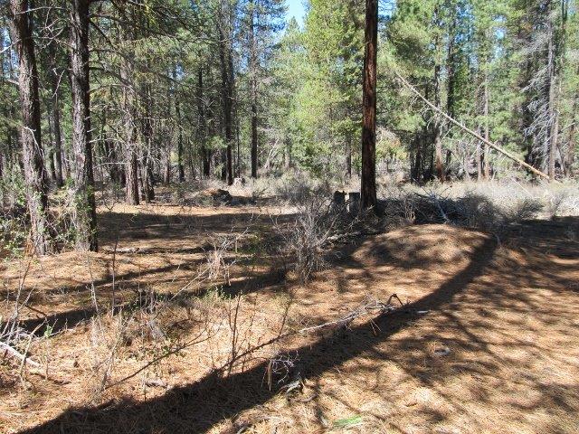 0 Green forest Drive, Chiloquin, OR 97624