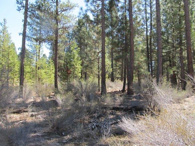 0 Green forest Drive, Chiloquin, OR 97624
