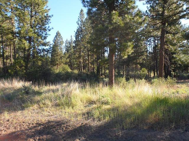 0 Brittany Way, Chiloquin, OR 97624