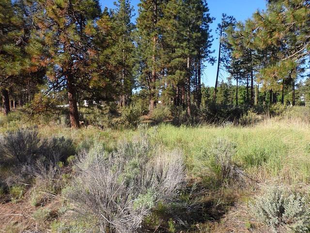 0 Brittany Way, Chiloquin, OR 97624