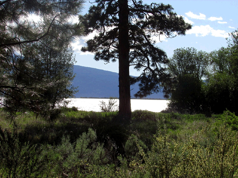 1-2,3 & 21 Latakomie Shores, Chiloquin, OR 97624