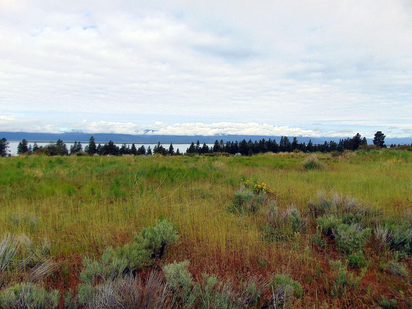 0-Lt 38-39 Pleasant View Drive, Chiloquin, OR 97624