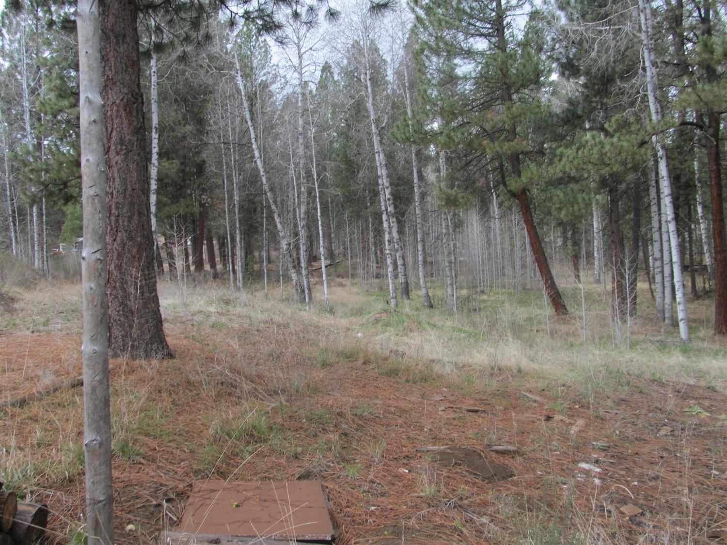 43404 N Highway 97 Highway, Chiloquin, OR 97624