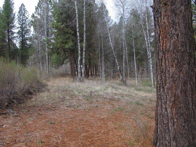 43404 N Highway 97 Highway, Chiloquin, OR 97624