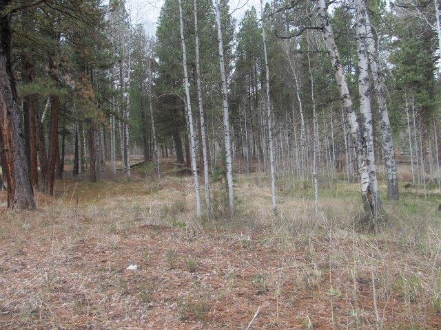 43404 N Highway 97 Highway, Chiloquin, OR 97624