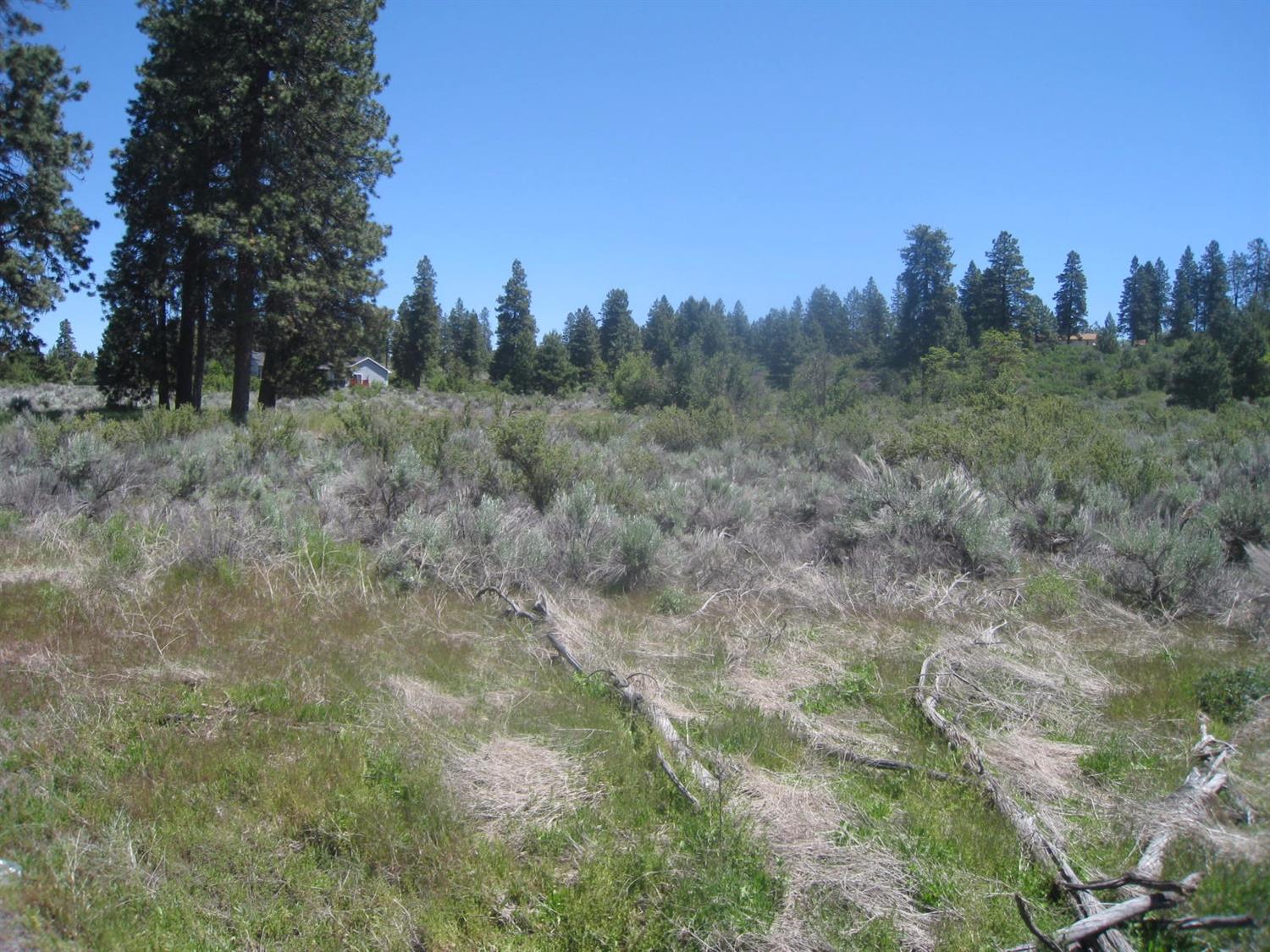 0 Modoc Point Road, Chiloquin, OR 97624