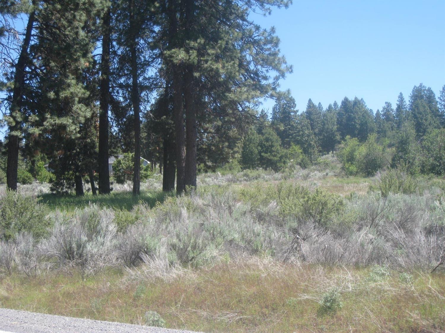 0 Modoc Point Road, Chiloquin, OR 97624