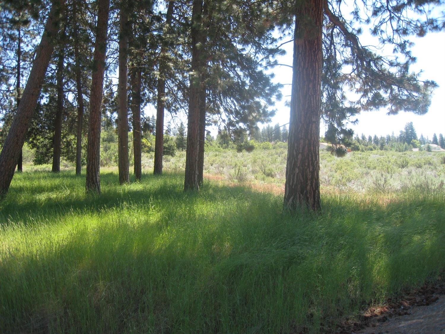 0 Modoc Point Road, Chiloquin, OR 97624