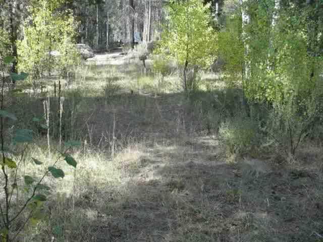 42035 Royal Coachman, Chiloquin, OR 97624