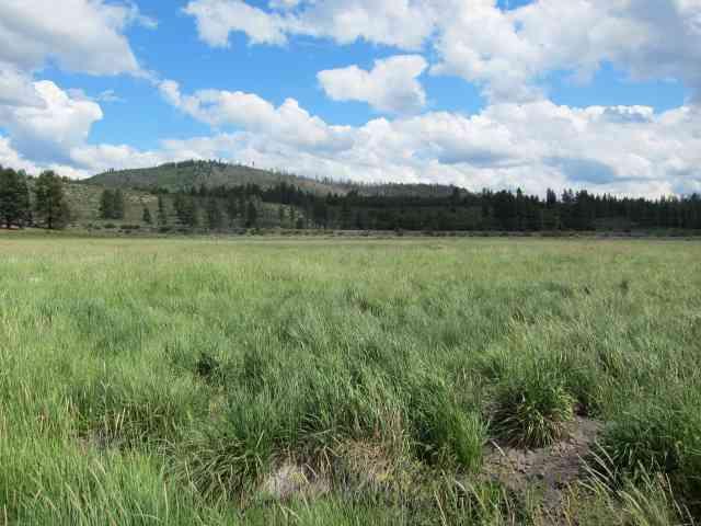 0-LOT 39 Cattle Lot 39, Chiloquin, OR 97624