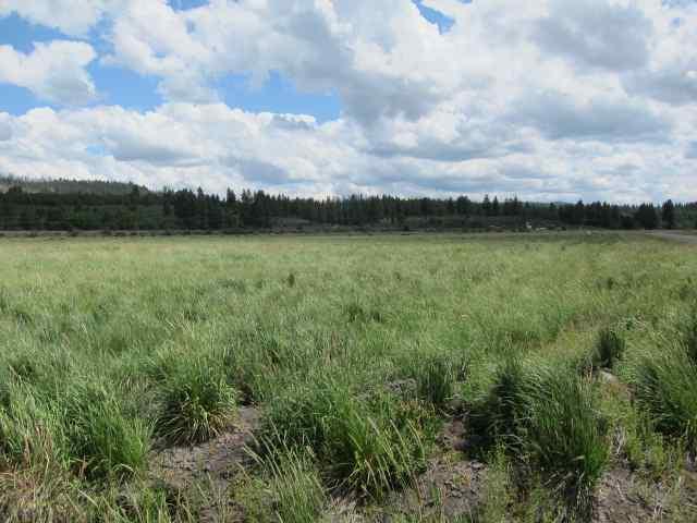 0-LOT 39 Cattle Lot 39, Chiloquin, OR 97624