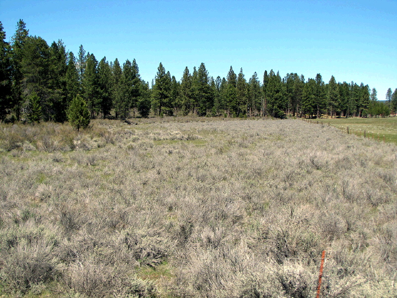 Parcel 1 L.P. 35-16, Chiloquin, OR 97624