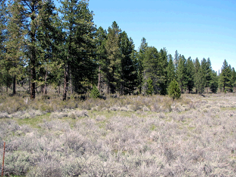 Parcel 1 L.P. 35-16, Chiloquin, OR 97624