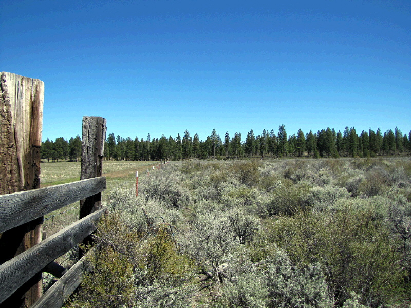 Parcel 1 L.P. 35-16, Chiloquin, OR 97624