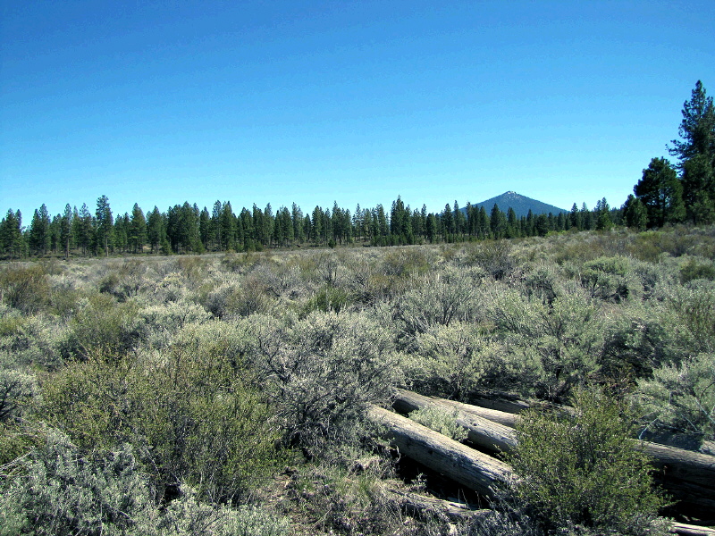 Parcel 1 L.P. 35-16, Chiloquin, OR 97624