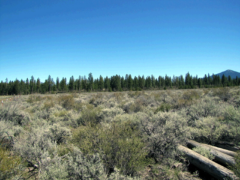 Parcel 1 L.P. 35-16, Chiloquin, OR 97624