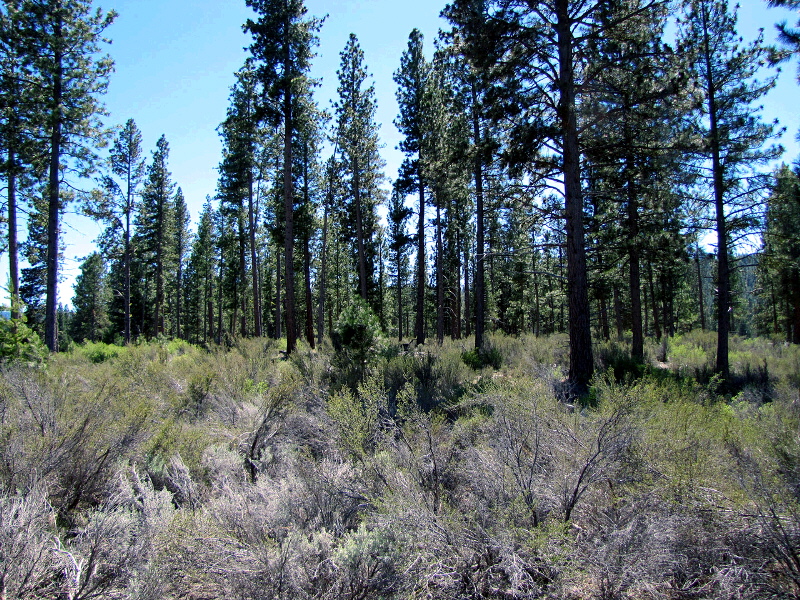 Parcel 1 L.P. 35-16, Chiloquin, OR 97624