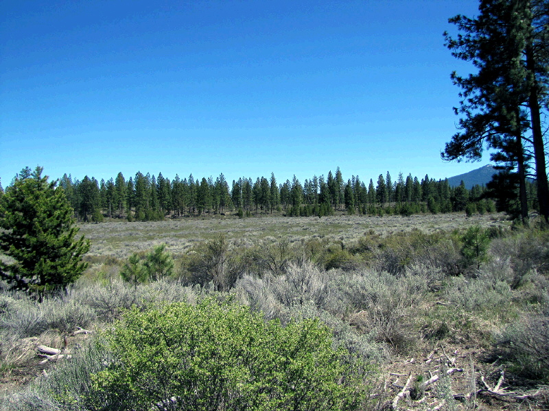 Parcel 1 L.P. 35-16, Chiloquin, OR 97624