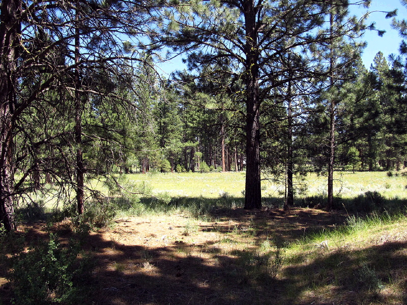 Lot 6 Sunburst Estates, Sprague River, OR 97624