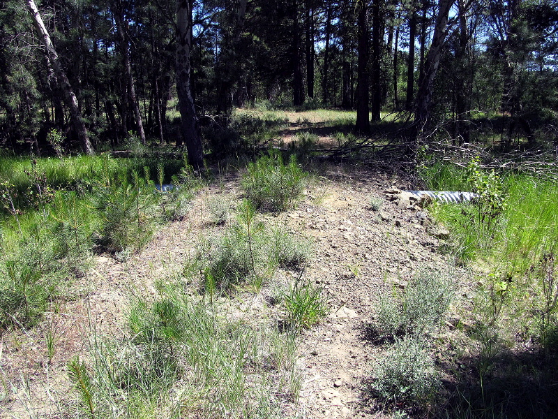 Lot 6 Sunburst Estates, Sprague River, OR 97624